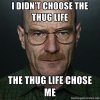 thug-life-meme-walter-white.jpg