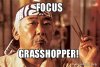focus-grasshopper-5aef7b.jpg