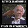 patience-grasshopper-i-teach-you-my-wise-ways.jpg
