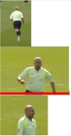 Referee.JPG Referee.JPG