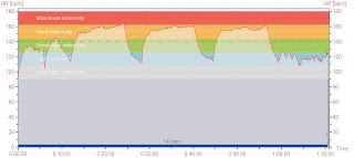Referee-Inactive - Training 4.16