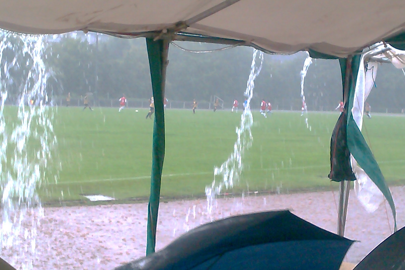 IMAG0743.jpg