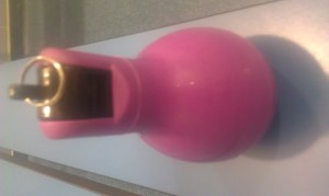 Dutch Referee Blog - The strangest referee whistle I’ve ever seen